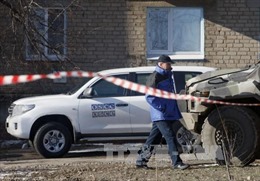 Giám sát nơi vi phạm lệnh ngừng bắn ở Ukraine